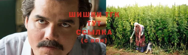 Бошки марихуана Ganja  Сорочинск 